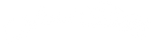 BE8D02C4-5EBA-4950-B9DF-7542C2C2E62A.png